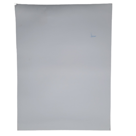 2019 Gov’t Mule New Orleans Show Poster Zeb Love Signed Numbered - Picture 5 of 5